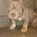 Dontae Grant - Facebook