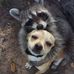 Donnie McDowell - Facebook