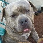 Dontae Scott - @scott.dontae - Instagram