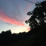 Dontae Tate - @dontae_tate - Instagram