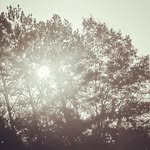 Dontae Thomas - @dontae_blue333 - Instagram