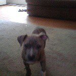 Dontae Williams - @cdorsey1278 - Instagram