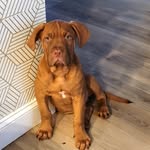 Dontae Wright - @davidzepf62 - Instagram