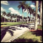 De'von Cook - @dontavious.cook.5 - Instagram