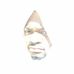 Dontavious Polite - Facebook