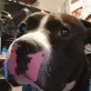 Donté<3 - @donte.gibson - TikTok