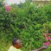 Dante Gonson - Facebook
