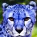 Dontae Greene - Facebook