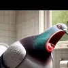 Dante Hickman - @dante.hickman - TikTok