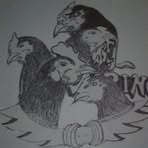 Tinta Ireng - Facebook
