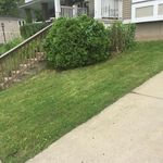 Donte Kelly - @kellys_landscaping_131_ - Instagram