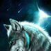 Lamin Dandi - Facebook
