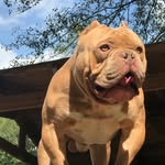 Donte Scott - @the_lno_camp - Instagram