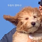 권두동(doodong) - @doo.24910.dong - Instagram
