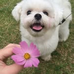 두부🤍 - @doodongseok - Instagram