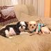 Dora Alvarez - Facebook