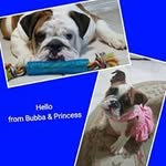 Dora Amaya - @yellowdaisyusa - Instagram