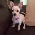 Dora Andrews - @doraandrews - Instagram