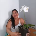 Dora Araújo - @dora.araujo.3158 - Instagram