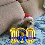 Dora Dell Carmen Avalos - @doradellcarmen - Instagram