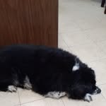 Dora Barnett - @dora.barnett.351 - Instagram
