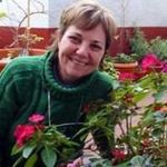 Dora Romanow Baron - @romanow_dora - Instagram