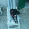 Dora Barone953 - @dorabarone953 - TikTok