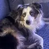 Dora Barraza - @dora.barraza52 - TikTok