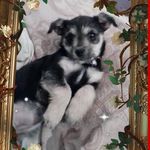 Dora Barraza De Pulido - @dora.barraza.581 - Instagram