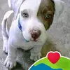 Dora Barreneche - @dorabarreneche - TikTok