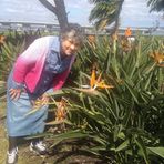 Funeral for Dora G Barrera - Facebook