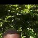 Dorry Baraka - Facebook