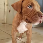 dora Alicia mejia batres - @doraaliciamejiabatres - Instagram