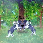 Bauer Dóra - @bauer_dora_58 - Instagram