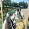 Dora bean - @mydappledgreydora - TikTok
