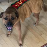 Dora Bean - @the_daily_dora - Instagram