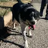 Dora Beans - @dorabeans100 - TikTok