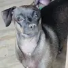 dorabean1 - @dorabean1 - TikTok