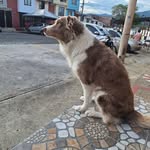 Dora Becerra - @dora.becerra.58 - Instagram