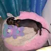 Dora Becerra - @dora.becerra31 - TikTok