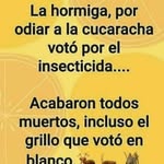 Dora Becerra - @dorabecerra610 - Instagram