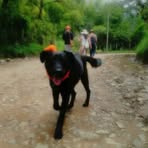 Dora Bedoya - Facebook