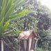 Dora Benitez - Facebook
