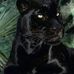 Dora Berger - Facebook