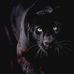 Dora Berger - Facebook