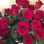 Dora Berry - @berrydora - Instagram