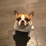 DoraBerry - @dora_berry01 - Instagram