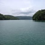 Dorothy Bingham - @jdbing29 - Instagram