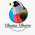 DonaDora Birding - @donadorabirding - Instagram