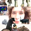 bizzledora - @bizzledora - TikTok